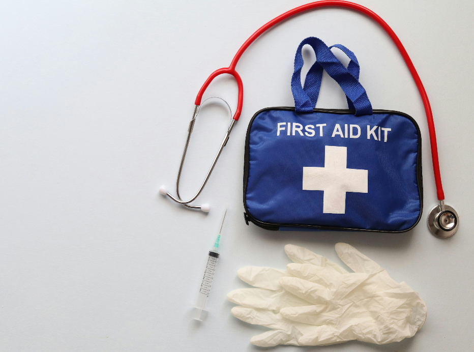 pet first aid basics