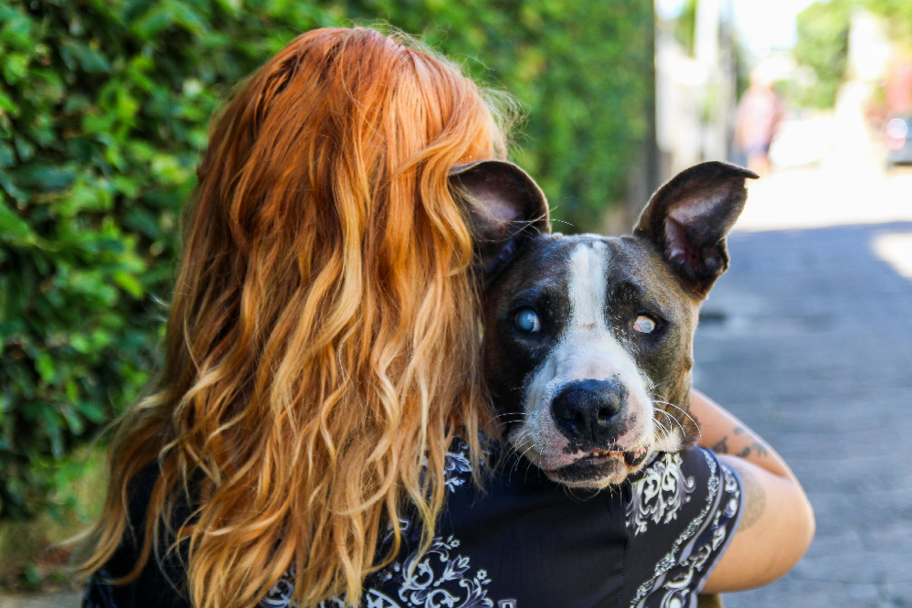 blind dog care