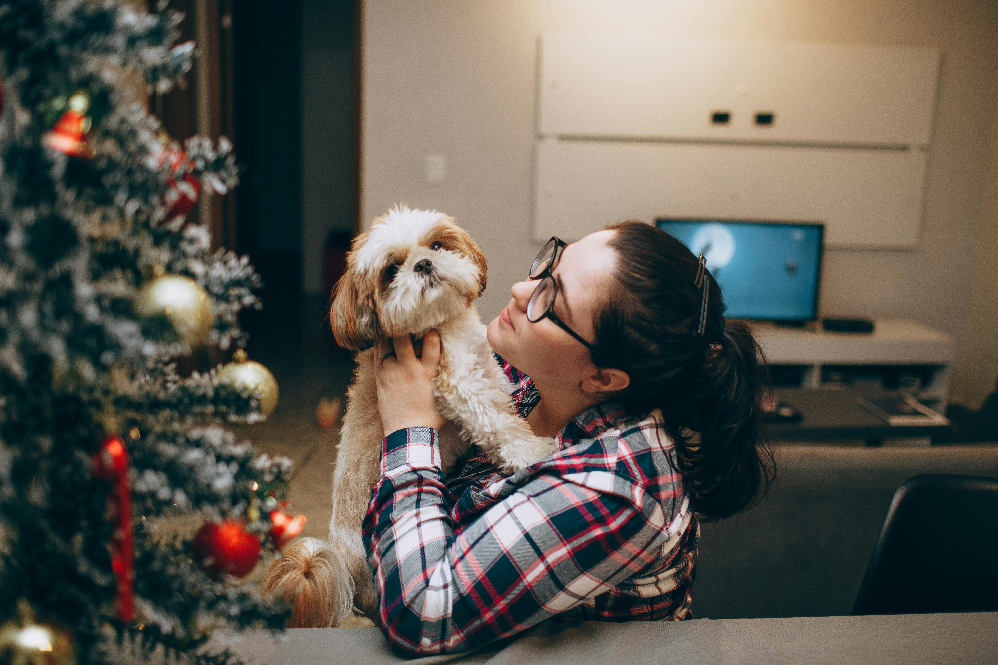 holiday pet safety tips