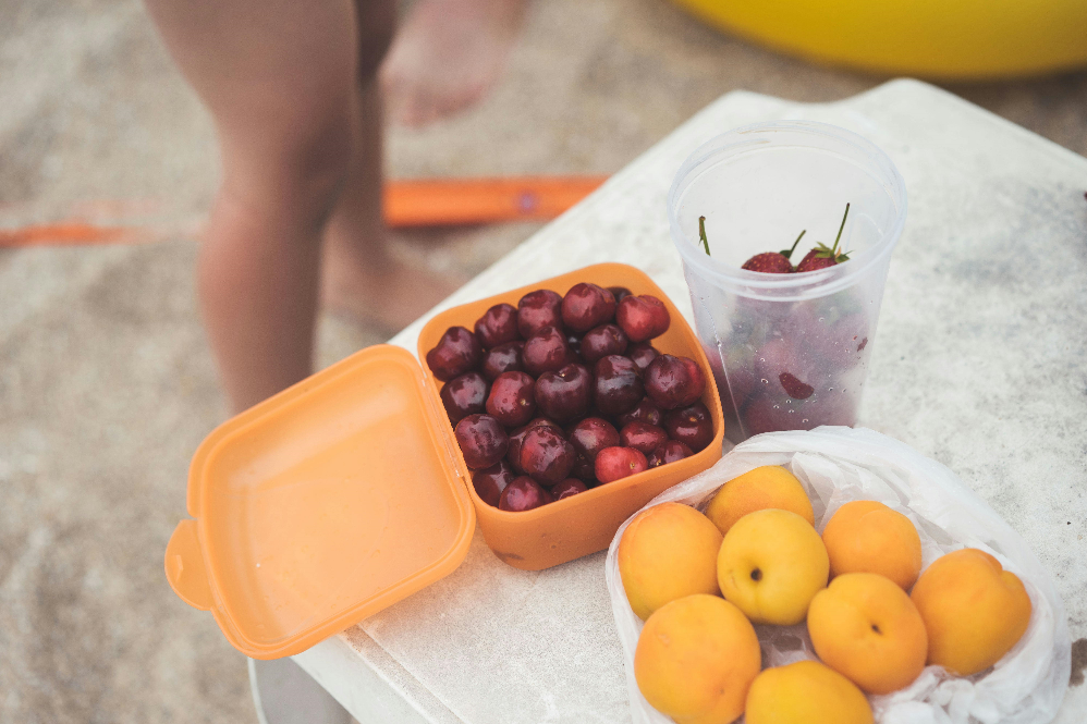 can dogs eat summer fruits