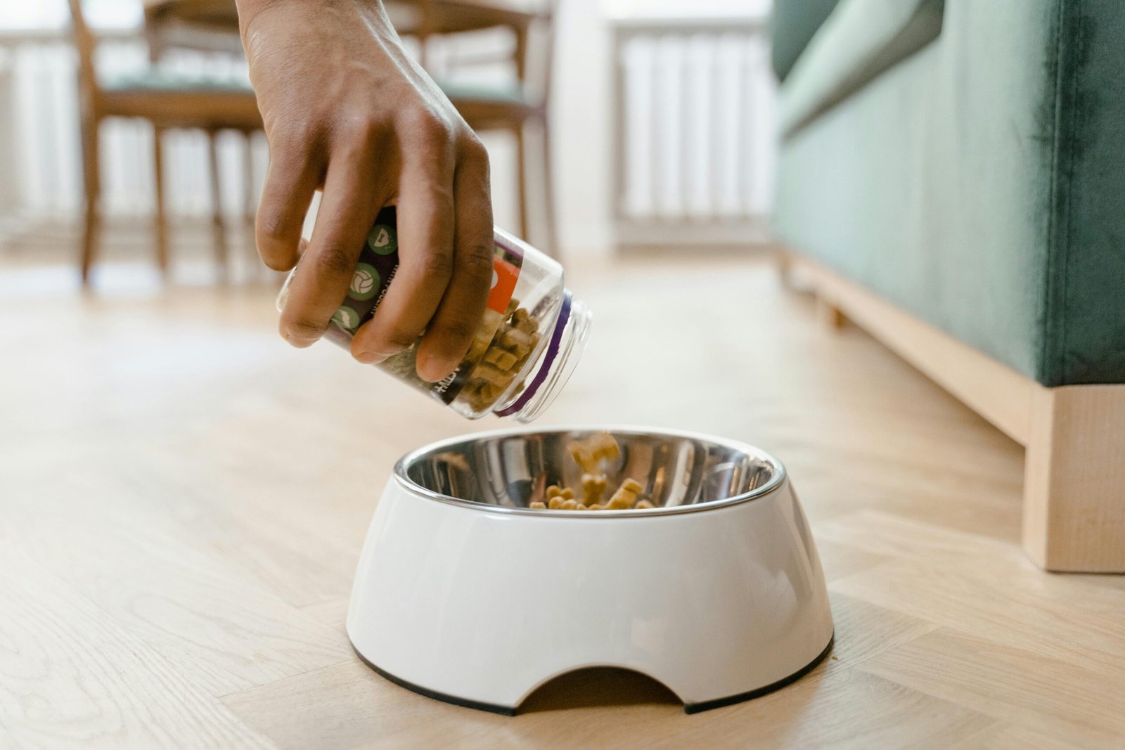personalized pet nutrition