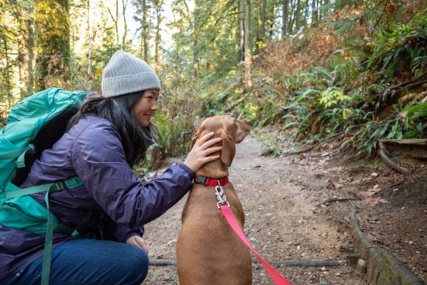 "Teen girl enjoying forest walk with her Vizsla dog in North Vancouver"