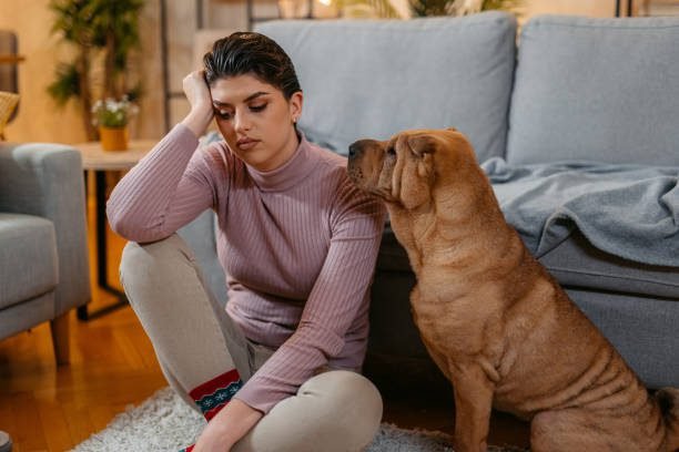"Sad young woman sitting on the floor with her Shar-Pei dog at home | PetNatureHub"