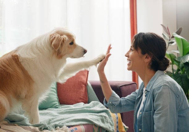 "Girl with her dog at home | PetNatureHub"
