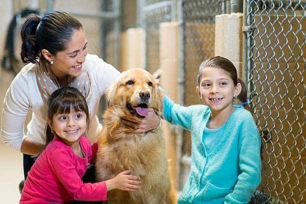 “Family adopting a dog from an animal shelter | PetNatureHub”