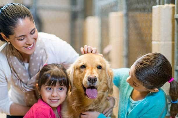 "Family adopting a dog from animal shelter | PetNatureHub"
