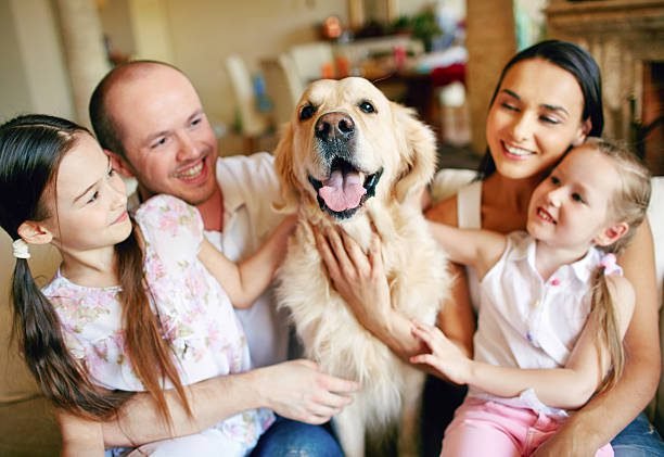 "Family bonding with their pet dog indoors"