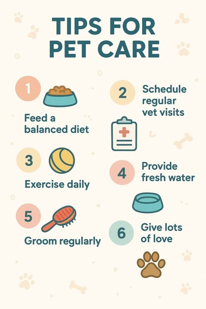 24-Hour Pet Care Routine