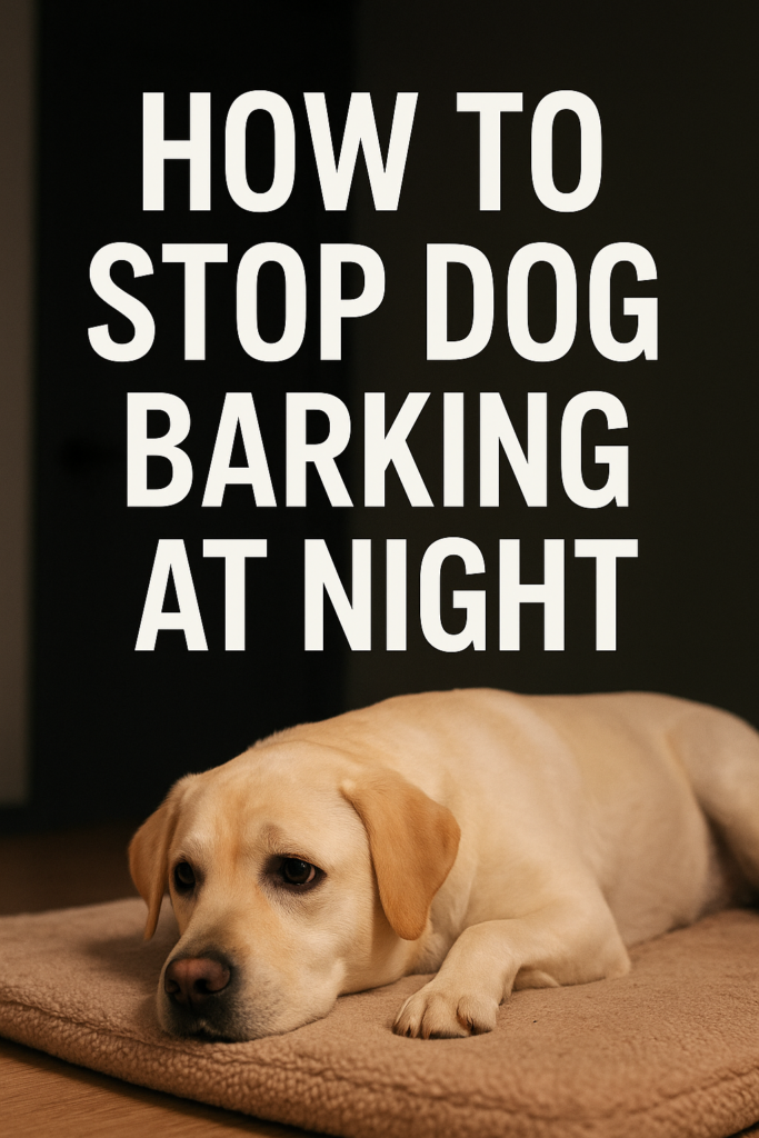 “How to stop dog barking at night – calm Labrador resting quietly on a dog bed indoors”