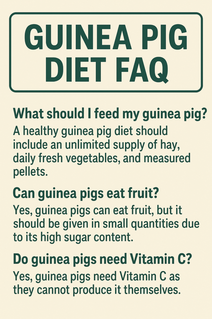 “Healthy guinea pig eating fresh vegetables and hay”