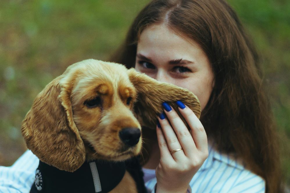 Dog Ear Infection Symptoms