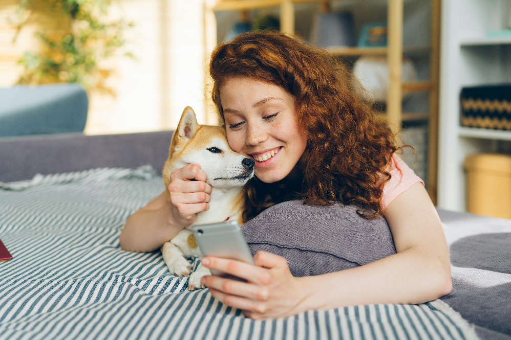how phones affect pet behavior
