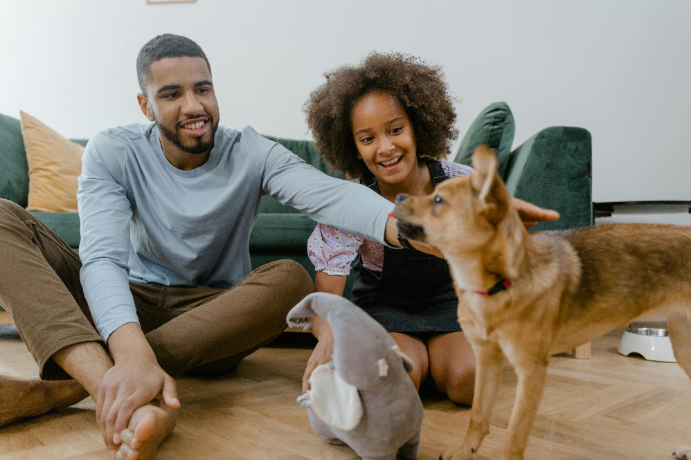 Pet Mental Health & Enrichment Guide