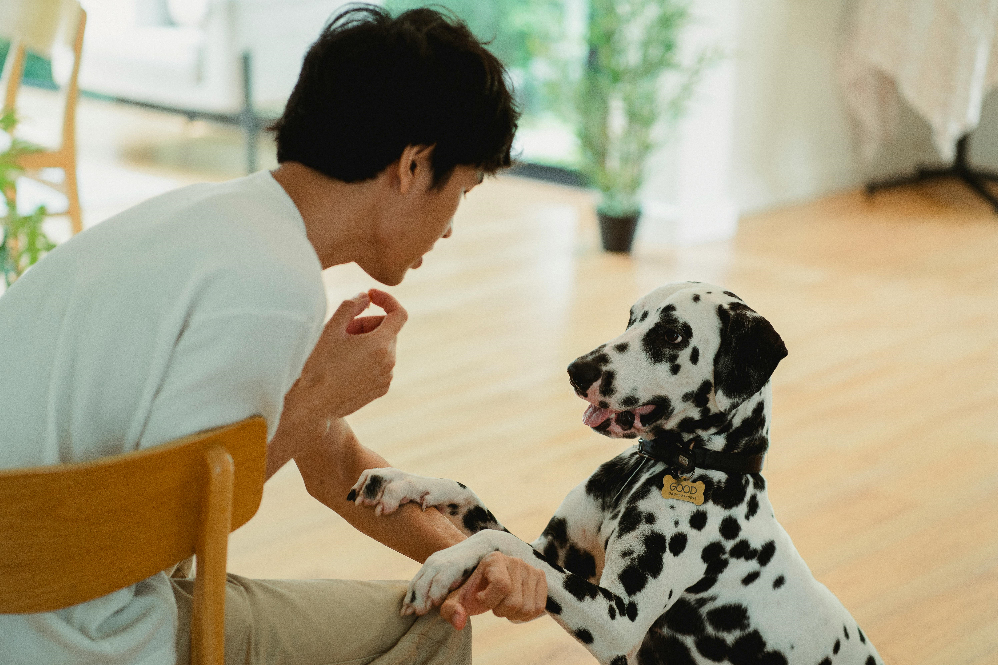 Pet communication without words
