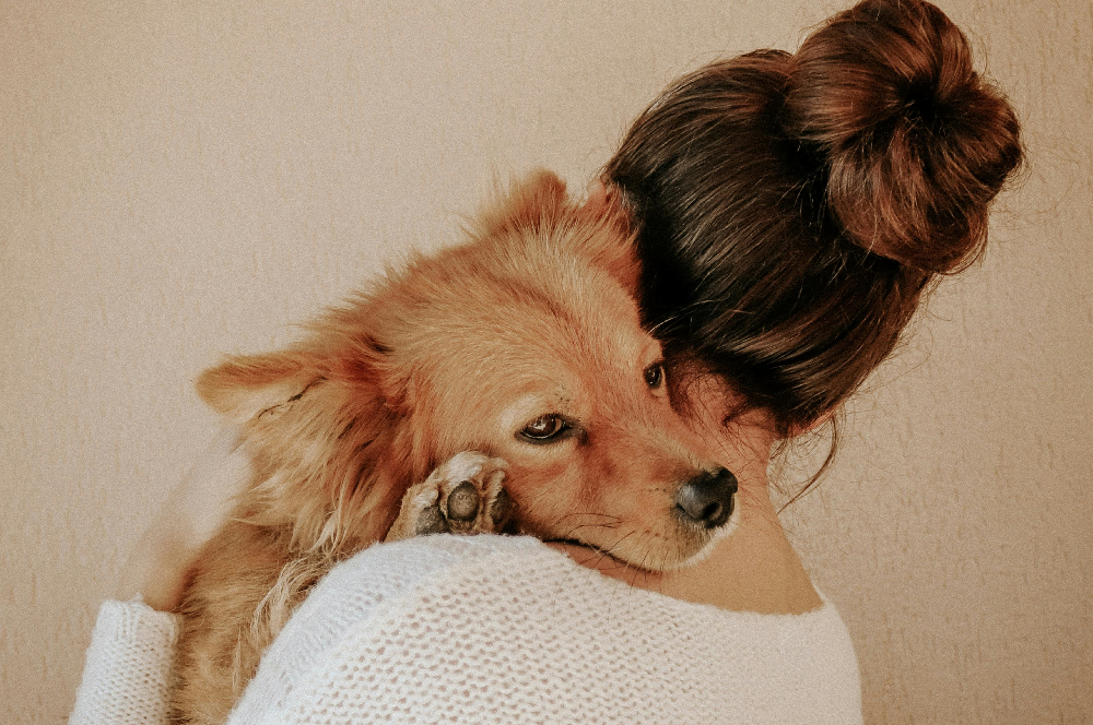 pet mental health