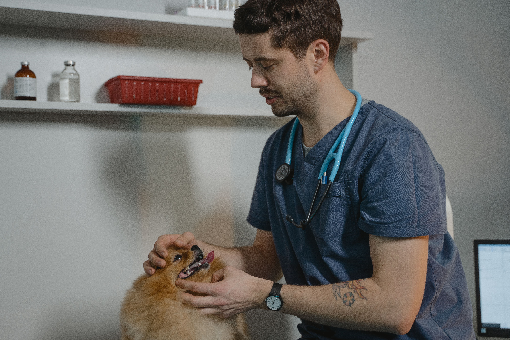 Pet Vaccination Schedule