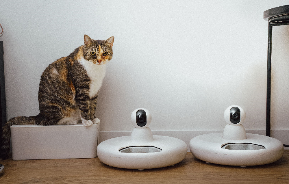 AI pet health monitoring