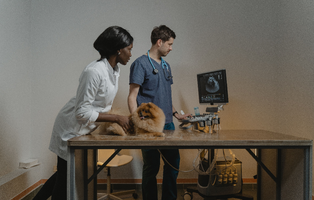 AI pet health monitoring